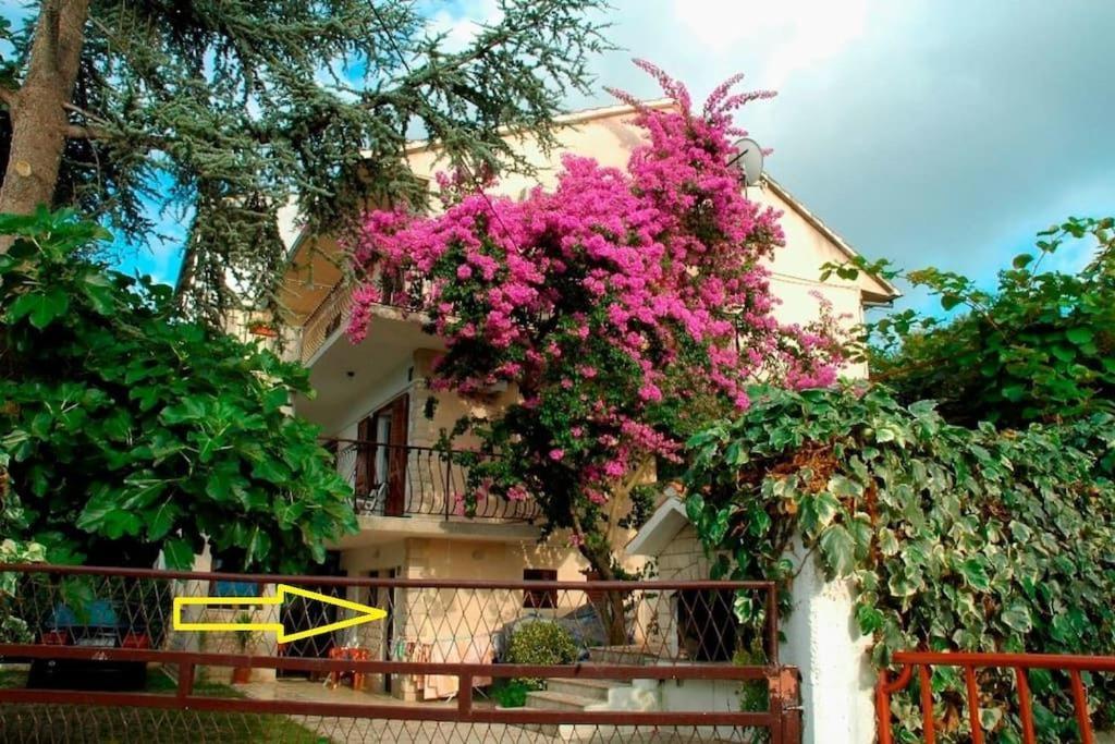 Apartment Ribica Slatine Zewnętrze zdjęcie